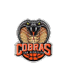 https://img.poodleclubarizona.com/img/basketball/team/61b201b26d4f255260e9ed77d47b8b19.png