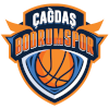 https://img.poodleclubarizona.com/img/basketball/team/8b1e25c5d2bd93d0accfbaba14185f05.png